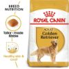 Picture of Royal Canin Dog - Golden Retriever Adult 12kg