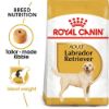 Picture of Royal Canin Dog - Labrador Retriever Adult 3kg