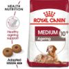 Picture of Royal Canin Dog - Medium Ageing 10+ 3kg