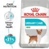 Picture of Royal Canin Dog - Mini Urinary Care 3kg