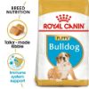 Picture of Royal Canin Dog - Bulldog Puppy 3kg