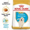 Picture of Royal Canin Dog - Golden Retriever Puppy 3kg