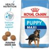 Picture of Royal Canin Dog - Maxi Puppy 4kg