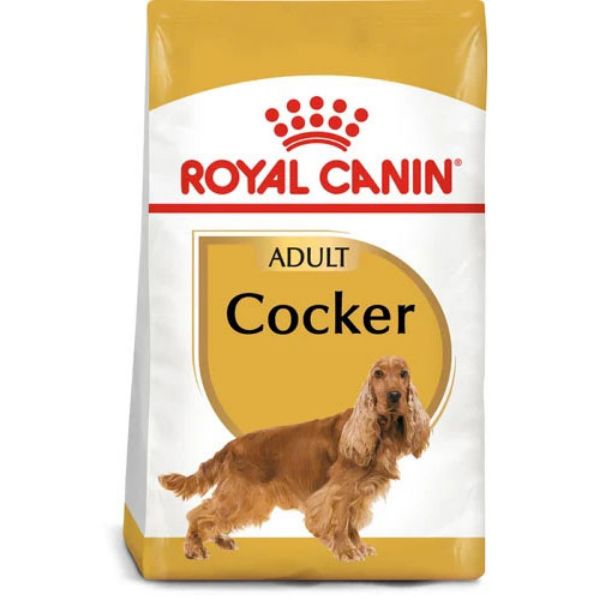 Royal 2025 canin cocker