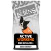 Picture of Burns Dog - Adult Active Chicken & Rice 12kg
