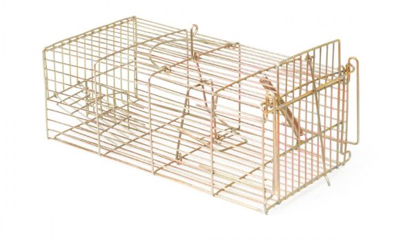 Picture of Racan Rat Trap - Humane