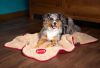 Picture of Scruffs Snuggle Pet Blanket Red
