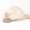 Picture of Scruffs Classic Food Bowl 13cm Grey