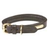 Picture of Weatherbeeta Padded Leather Dog Collar Black Small