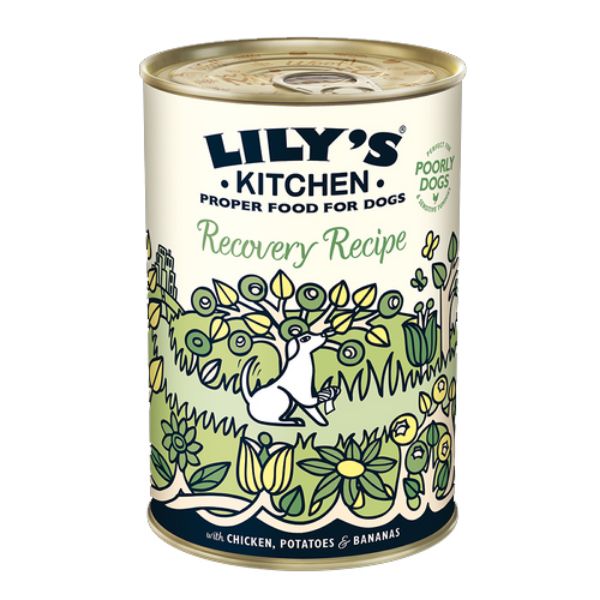 Picture of Lily's Kitchen Dog Tin Recovery Recipe 6x400g