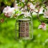 Picture of Chapel Wood Compact Squirrel Proof Peanut Feeder