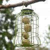 Picture of Chapel Wood Squirrel Proof Fat Ball Feeder