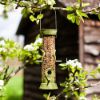 Picture of Chapel Wood Supreme Seed Feeder 30cm