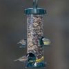 Picture of Jacobi Jayne BigEasy Medium Seed Feeder