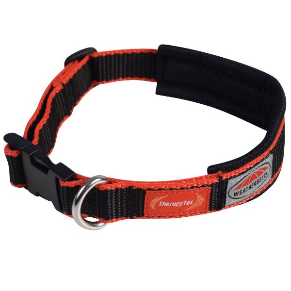 Picture of Weatherbeeta Therapy-Tec Dog Collar Black/Red XL 51-57cm