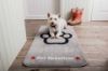 Picture of Pet Rebellion Stop Muddy Paws Barrier Rug XL Grey