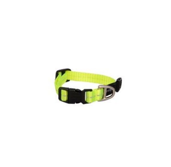Picture of Rogz Classic Collar Dayglo XS 16-22cm
