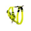 Picture of Rogz Control Harness Dayglo Small 23-37cm