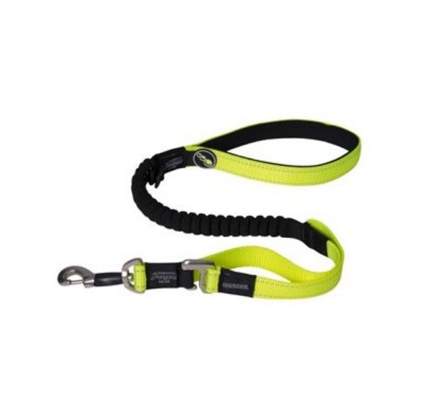Picture of Rogz Control Lead Dayglo XL Short 0.8m x 25mm