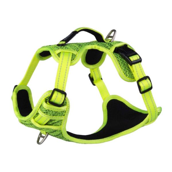 Picture of Rogz Explore Harness Large Yellow