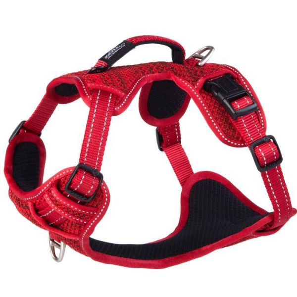 Picture of Rogz Explore Harness XL Red