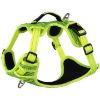 Picture of Rogz Explore Harness XL Yellow