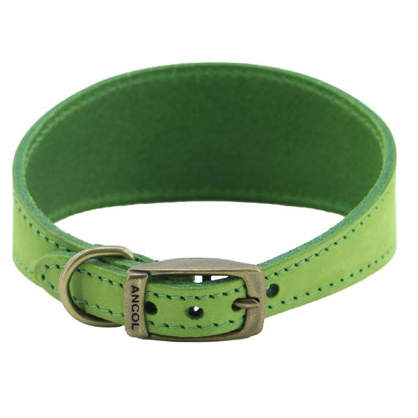 Picture of Ancol Timberwolf Greyhound Collar Green 34-43cm Size 4