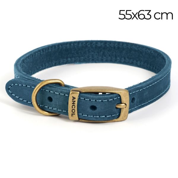 Picture of Ancol Timberwolf Leather Collar Blue 55-63cm Size 8
