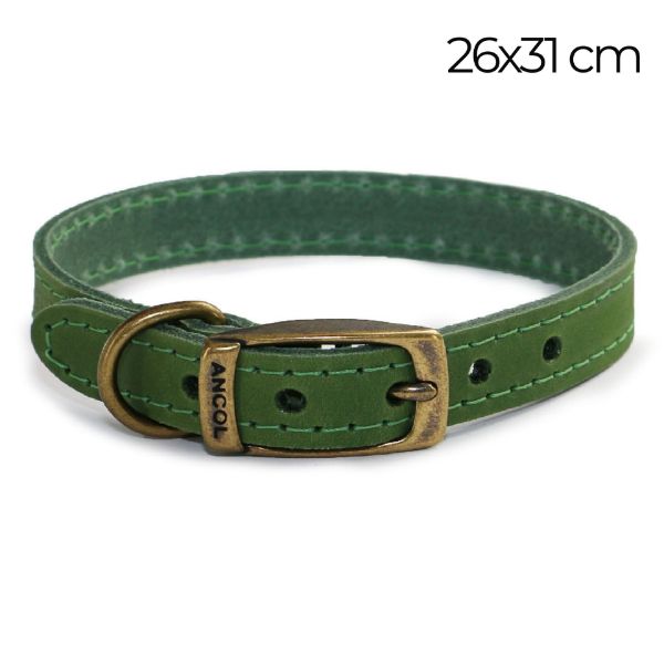 Picture of Ancol Timberwolf Leather Collar Green 26-31cm Size 2