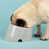 Picture of Scruffs Icon Flat Faced Pet Bowl 18cm Light Grey