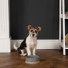 Picture of Scruffs Scandi Dog Bowl 16cm Grey