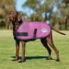 Picture of Weatherbeeta Comfitec Classic Dog Coat Pink