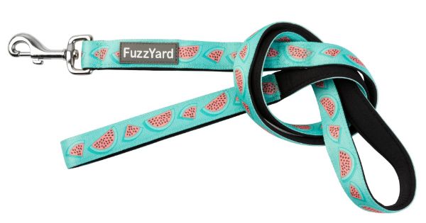 Picture of FuzzYard Lead Summer Punch Large 140cm