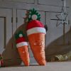 Picture of Zoon Santa Carrot Medium