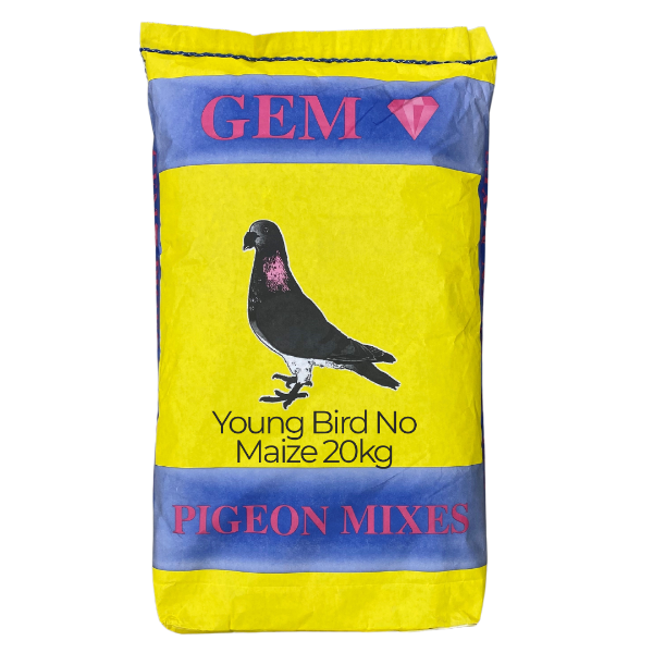 Picture of Gem Pigeon Young Bird No Maize 20kg
