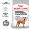 Picture of Royal Canin Dog - Medium Dental Care 10kg