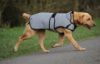 Picture of Weatherbeeta Comfitec Reflective Dog Coat Medium Silver 