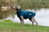 Picture of Weatherbeeta Green-Tec Fleece Zip Dog Coat Dragonfly Blue/Bottle Green