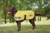 Picture of Weatherbeeta Reflective Parka 300D Dog Coat Yellow