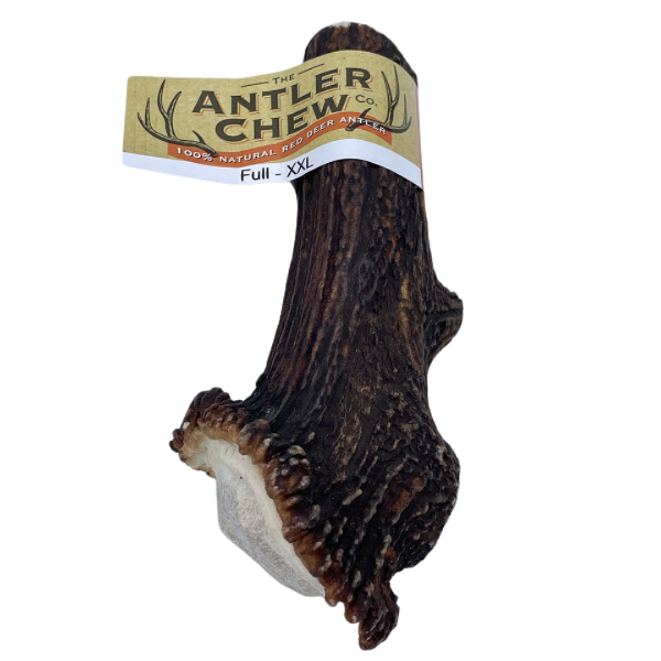Picture of The Antler Chew Co Full Antler XXL