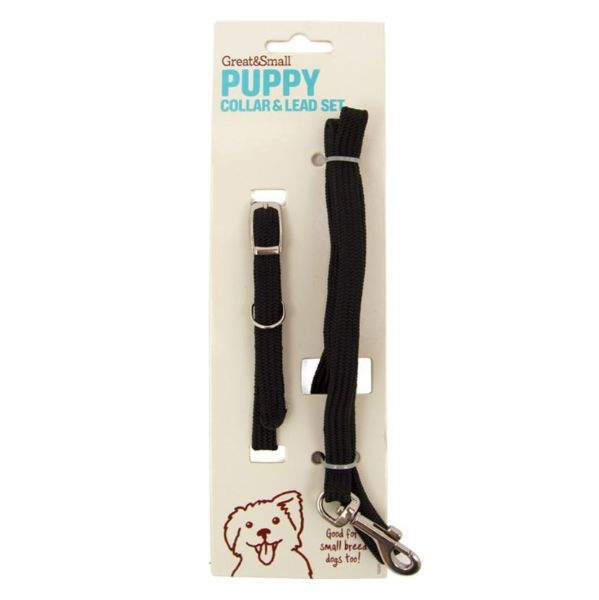 Picture of Great & Small Puppy Collar & Lead Black