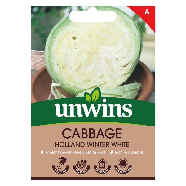 Picture of Unwins Cabbage Holland Winter White Seeds