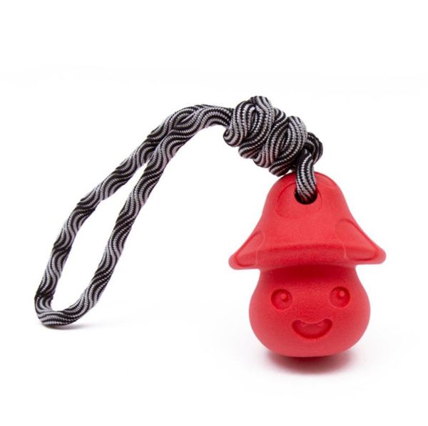 Picture of Frubba Mushroom & Rope Treat Toy