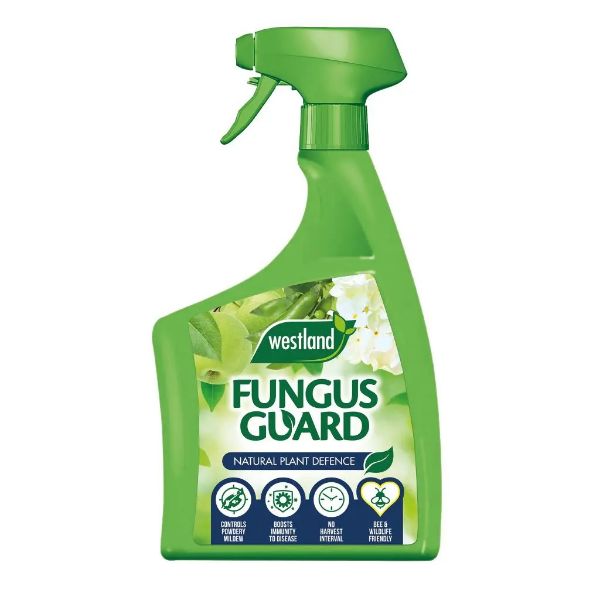 Picture of Westland Fungus Guard 800ml