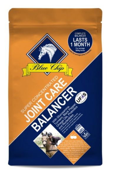 Picture of Blue Chip Super Concentrated Joint Care Balancer 3kg