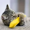 Picture of BAM Catnip Banana