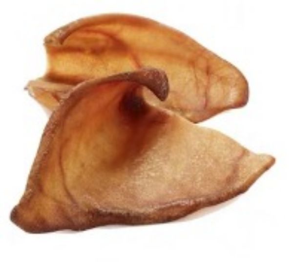 Picture of Pigs Ears 50 Pack