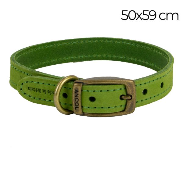 Picture of Ancol Timberwolf Leather Collar Green 50-59cm Size 7