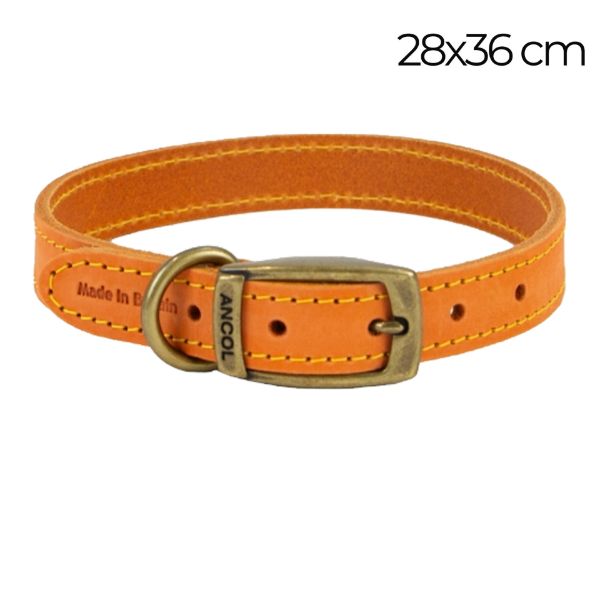 Picture of Ancol Timberwolf Leather Collar Mustard 28-36cm Size 3