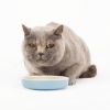 Picture of Scruffs Classic Pet Saucer 13cm Blue